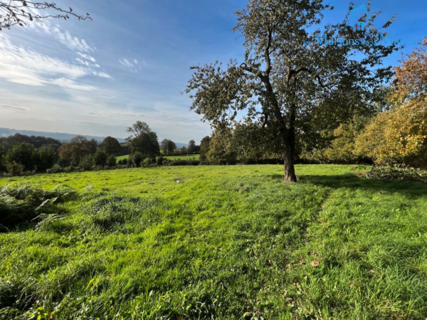 Jolie Maison en pierre au calme