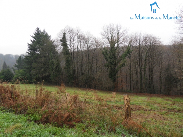 Maison de 130 m² secteur JUVIGNY LE TERTRE (50520) SITUATION CALME ET VERDOYANTE