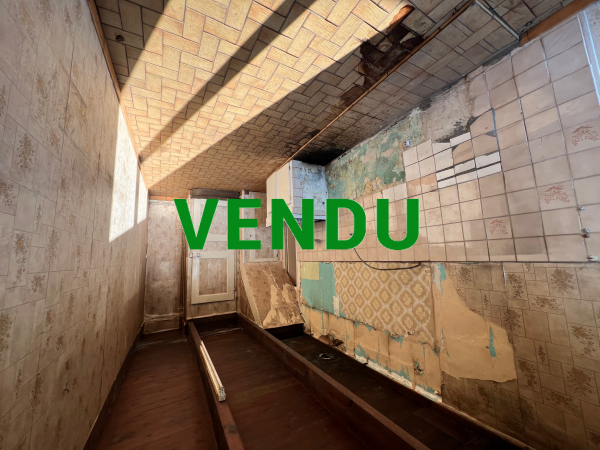 Maison en pierre avec 4800 m² de terrain