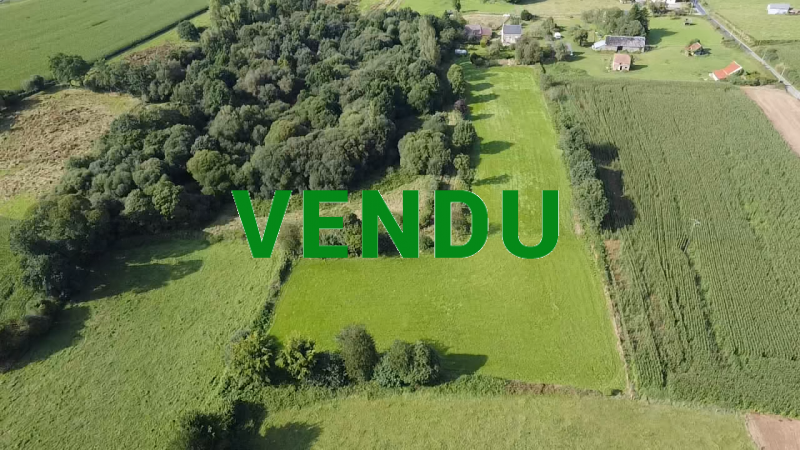 Maison avec 1,5 hectare