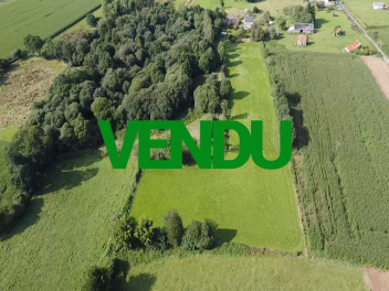 Maison avec 1,5 hectare-vendu